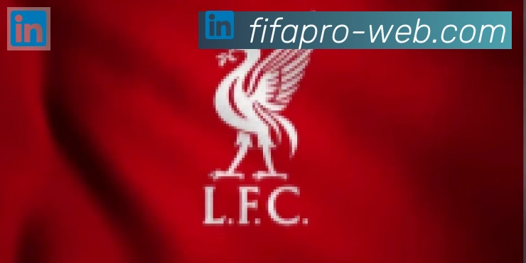 FIFA世界杯买球入口合作伙伴