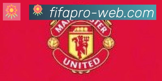 FIFA世界杯买球入口合作伙伴